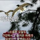 약령시장 이미지