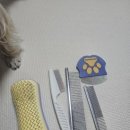 스마트동물병원(병점점) 이미지