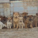 천관농장 이미지