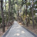 광성보주차장 | 강화도 나들이 걷기 좋은 광성보 여행 후기ㅣ주차 입장료