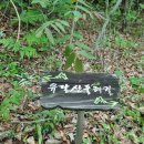 목포미항초등학교 이미지