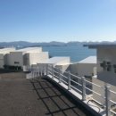 매듭달 스무달 이미지