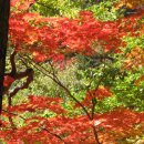 휴양림약수 이미지