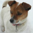 물안개농박 이미지