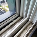 그린빌세탁 | 제주입주청소 에코그린빌15차 현장후기