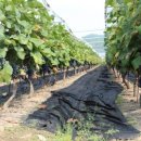 성원농산 이미지