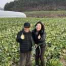 진설초해(주) 이미지