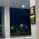 담지샘농장 | 나트랑 여행｜무이네 선라이즈 지프 투어 현지업체 후기 (+할인코드)