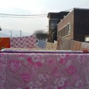 월산면사무소 이미지