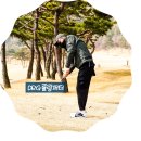 디알지(DRG) 이미지