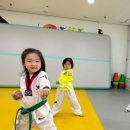 품다태권도장 이미지