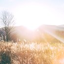 [322] World Scripture - Love Your Enemy 이미지