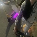 제천 펫택시 이미지