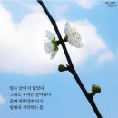 사교육걱정없는세상 이미지