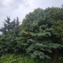 모롱지작은도서관 이미지