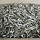 이지스한의원 이미지