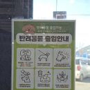 한국화훼센타 이미지