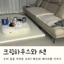 서고집 | 크림하우스 아기매트 후기｜1년 동안 서고 걷기까지, 우리 집을 지켜준 프리2 매트와 베이비룸 이야기