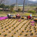 안양면 행정복지센터 이미지