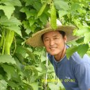 대촌농장 이미지