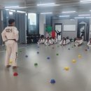 타이거킥스태권도장 네이버블로그