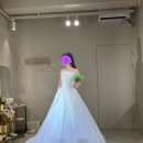 샬랄라공주 | [W_22]보니타베일리 촬영가봉 후기 촬영가봉 준비물 타프타 오간자 실크 유색 슬림 풍성 드레스 네추럴...