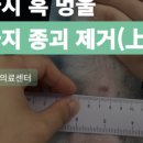 문동물병원 - 충주시 용관길 16 | 문동물병원