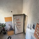 대신양말골목 | 청주 셀프 만삭 사진관 그날의 미술관 내돈내산 후기 / 촬영 꿀팁