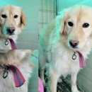 포항시남구17 이미지