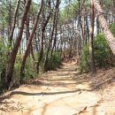 박경리 토지길 이미지