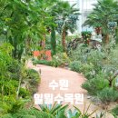 일월수목원전시온실 | 1월 | 수원 실내 가볼만한곳 일월수목원 (카페 전시온실 주차장)