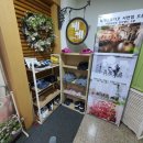 제제스튜디오 사하점 네이버블로그