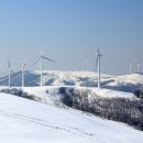 삼양목장 이미지