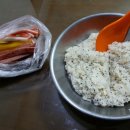 김밥과함께라면 - 서구 | 김밥과함께라면