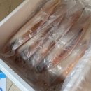 군산 직접 잡아 만들어 파는 황금 박대 배송 맛집 밥강도