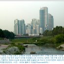 서울 도곡동 타워팰리스 이미지