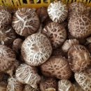 혜성농장 이미지