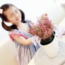 아이플라워 메이트 이미지