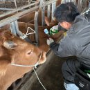 모락모락 이미지