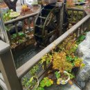 진주한우참숯구이 이미지