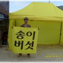 송이집