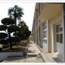 도초초등학교 이미지