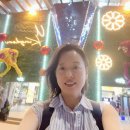 TRUST GYM | 인도 오쇼명상여행 4일차 후기