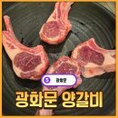 광화문 양갈비 | [광화문] 양갈비 프렌치랙 1타 맛집 광화문 양갈비 내돈내산 솔직 후기