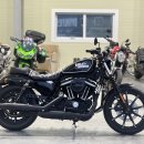 할리데이비슨 아이언883 16년식 1.5만KM 올 순정차량 판매합니다 이미지