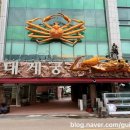 궁 | 영덕대게맛집가격 영덕대게궁 후기