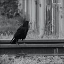 상준고시원