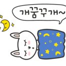 오수애견캠핑장 이미지