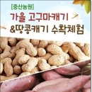 중산농장 네이버블로그