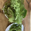 장가네 돼지국밥 이미지